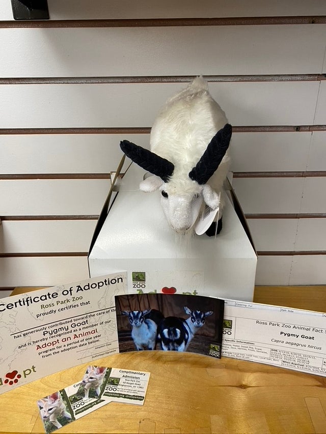 Animal Adoption Kits